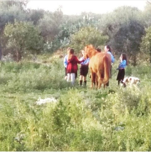 Maneggio Scuola Equitazione Passeggiate a Cavallo Vento Dell'Est