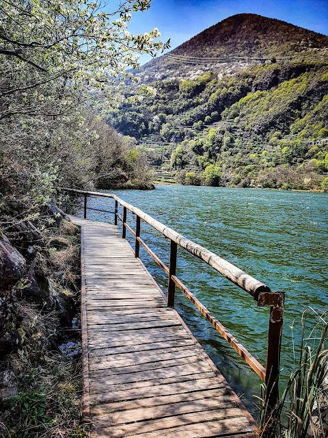 Parco del Lago Moro