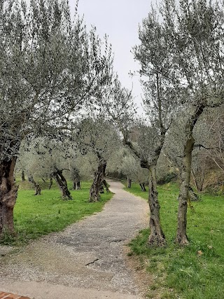 Parco Pubblico Tomelleri