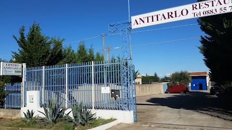 Centro Italiano Antitarlo