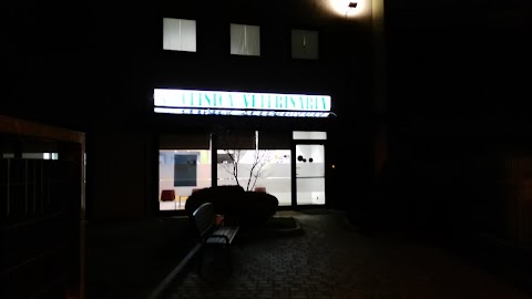 Clinica Veterinaria San Secondo