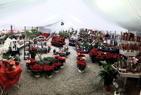 Azienda Floricola Cuneo Carlo