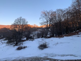 Area Pic Nic - Monte Livata