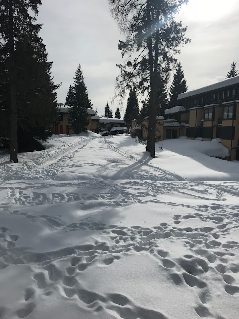 CHALET FRANCESCA a Madonna di Campiglio