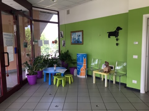 Clinica Veterinaria San Martino