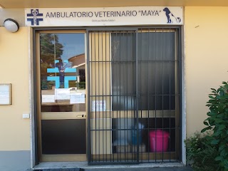 Ambulatorio veterinario maya