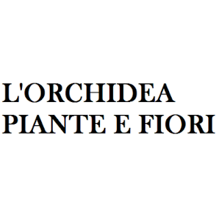 L'Orchindea Piante E Fiori