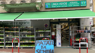 Linea Verde Di Garibotto Iacopo