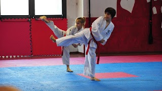 Taekwondo Master Stefano Minotti