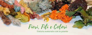 Fiori, Fili e Colori