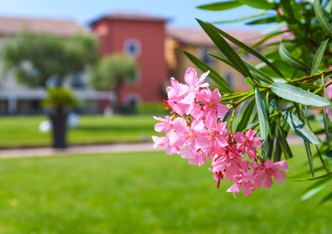 TH Lazise - Hotel Parchi del Garda