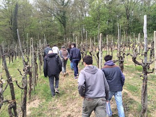 APAB Scuola di Agricoltura Biodinamica