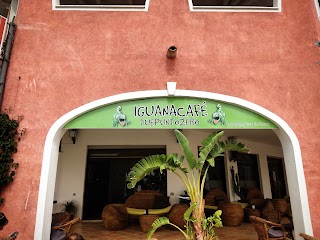 IGUANA CAFE'