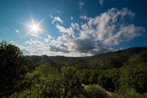 Agriturismo Il Filo di Paglia