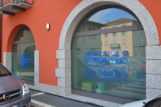 Clinica Veterinaria San Matteo - Dott.ssa Paola Cadona'