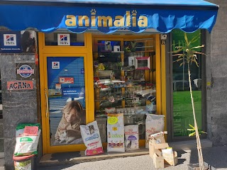 Animalia Di Luca Imperatrice