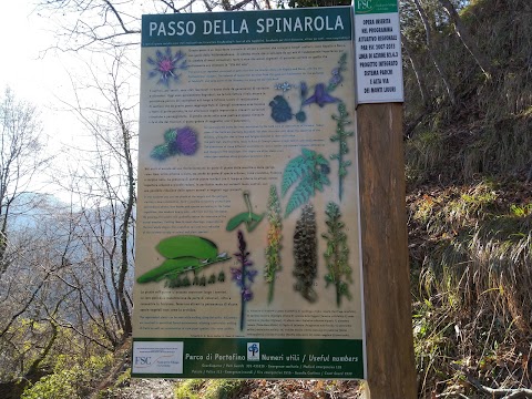 Passo della Spinarola