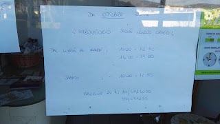 Ambulatorio Veterinario Ariosto