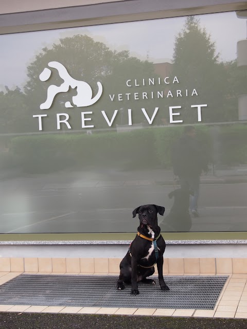 TREVIVET Clinica Veterinaria