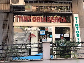 Tintoria A Domicilio