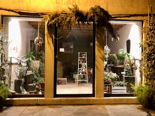 Frida's Bassano | Italian Flower Stores