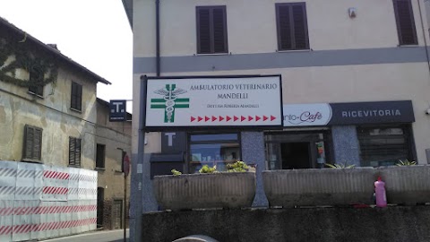 Ambulatorio Veterinario Mandelli