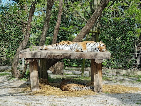 Parco Zoo Punta Verde