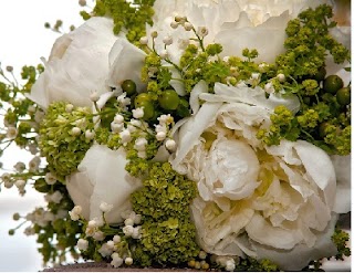 Flowers in Capri