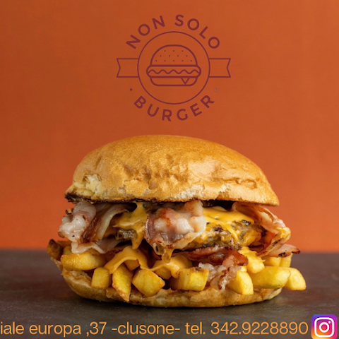 Hamburger e piadine -Non solo Burger