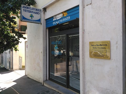 Ambulatorio Veterinario della Drssa Marcella Lucia