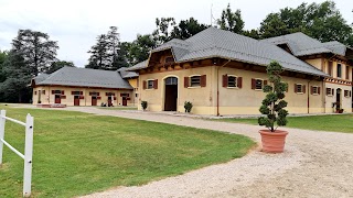 Bologna Sport Horses