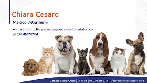 Veterinario a Domicilio - Cesaro Chiara