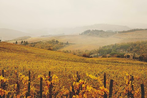 Fattoria Poggio al Sorbo