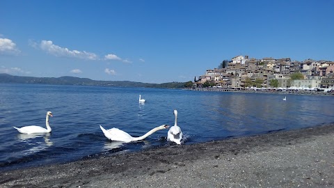 Parco Naturale Regionale di Bracciano Martignano