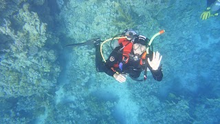 corsi sub Bologna - SDS Scientific Diving School