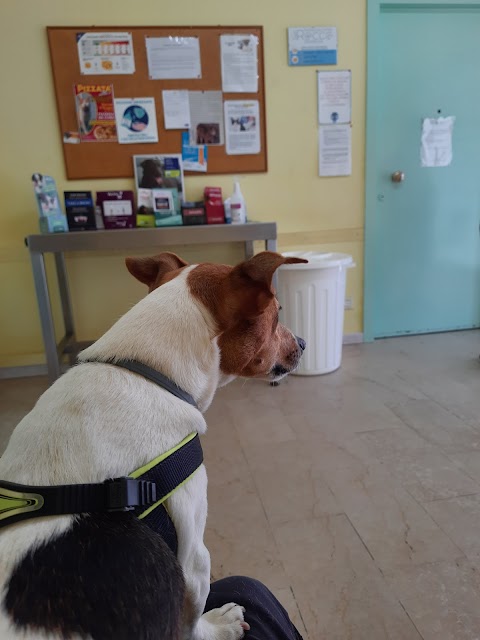 Centro Veterinario Nizzola di Galimberti Dr. Riccardo