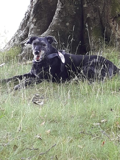 Baldi Stefano Ambulatorio Veterinario