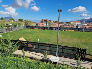 Doggy Park Centro cinofilo