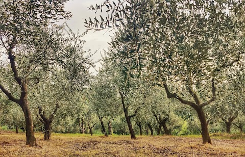 Agriturismo Montalto