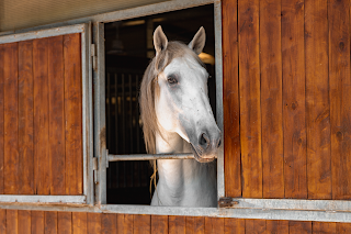 Centro Equestre Travanino