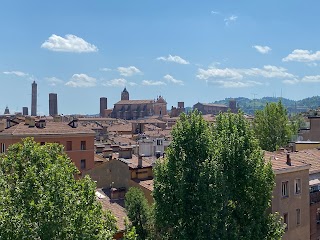 Avv. Antonella Raimondo - Consulenza Legale - Bologna