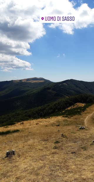 Foresta di Sant'Antonio