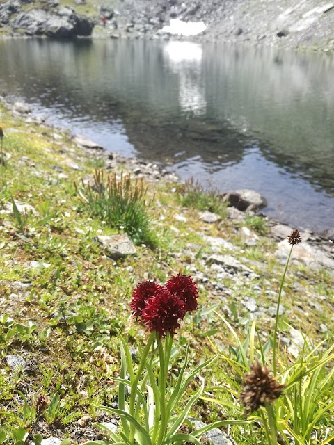 Lago Gavazzi-Tarantola