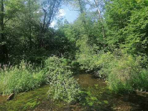 Centro Recupero Fauna Selvatica Lipu La Fagiana