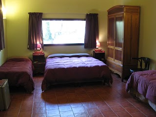 B&B DomusVerdiana