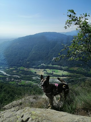 Bars d’la Tajola