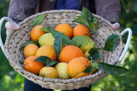 agriturismo "pietre di gelo" dei F.lli Valenziani