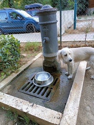 Area Ludica Cani Parco Talenti