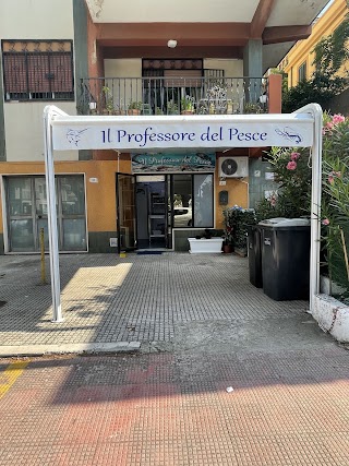 il professore del pesce