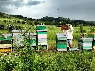 Azienda Agricola De Angeli